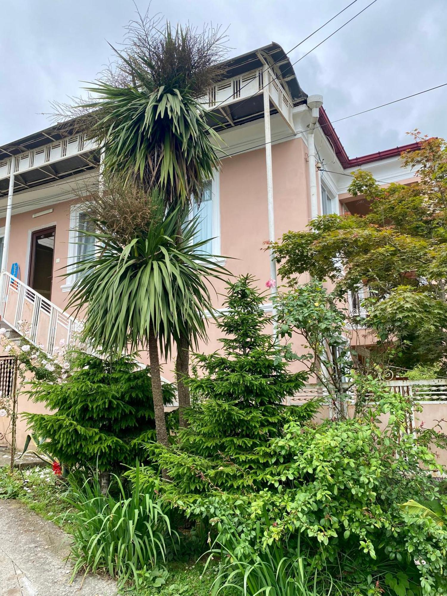 Ana House Villa Makhinjauri Luaran gambar